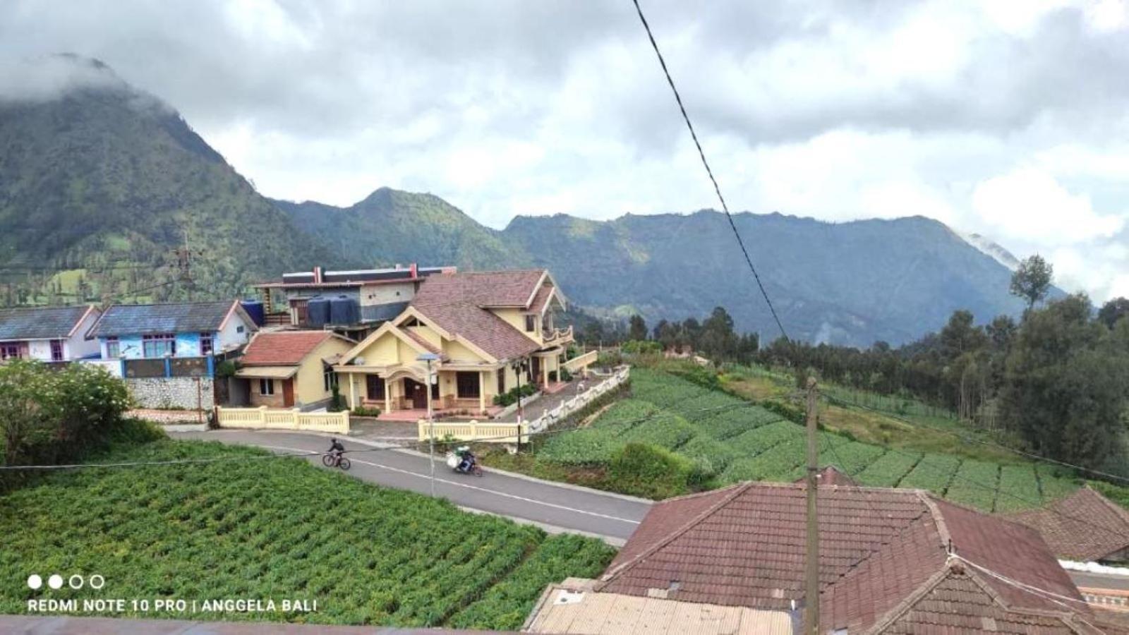 Tengger Indah Bromo By Abm Exterior photo